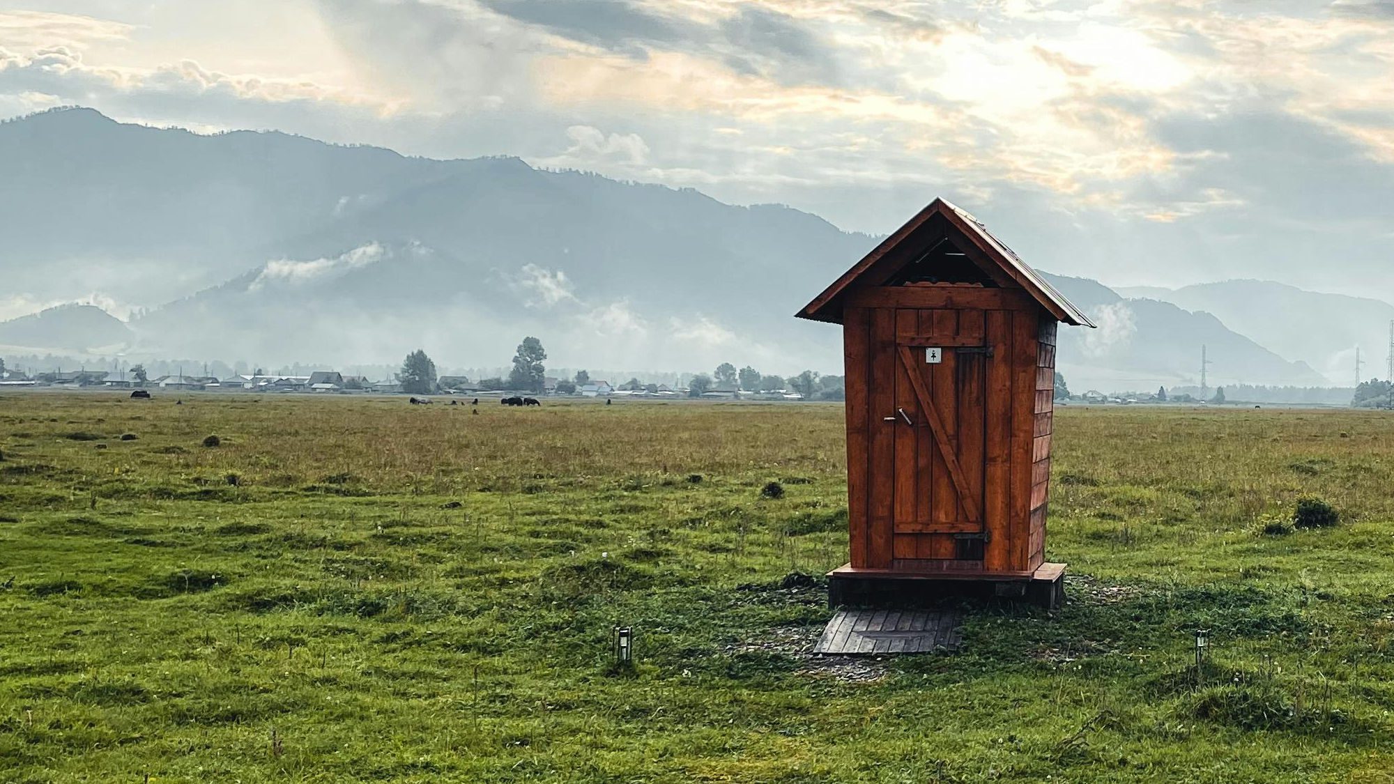 STOP Flushing These Things Down Your BioCycle System